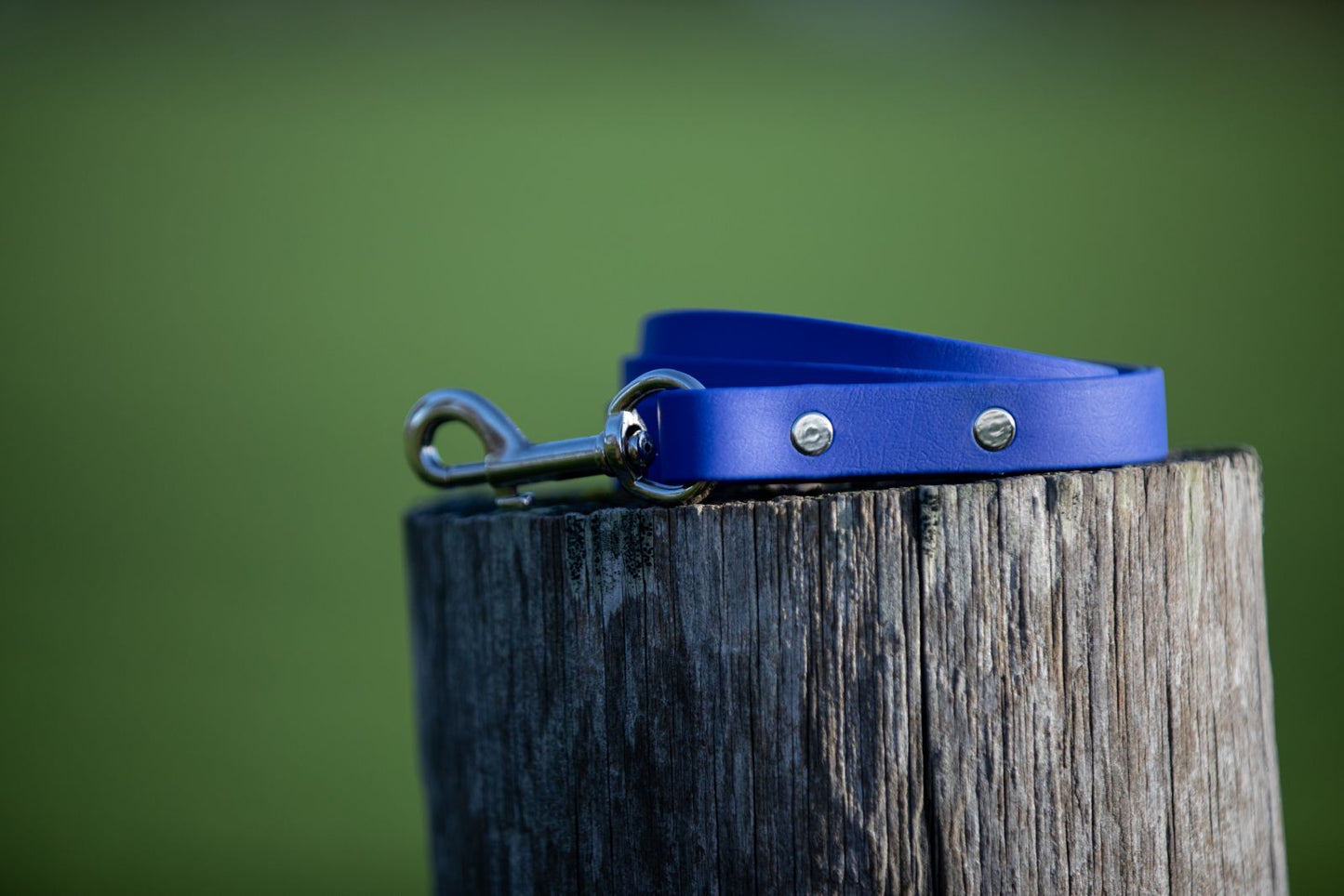 Electric Blue BioThane® Clip Lead