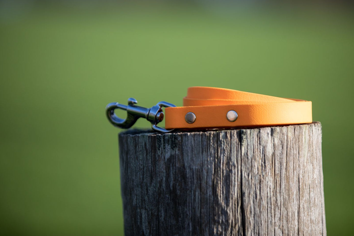 Orange BioThane® Clip Lead