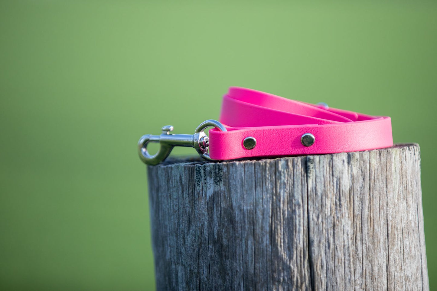 Pink BioThane® Clip Lead