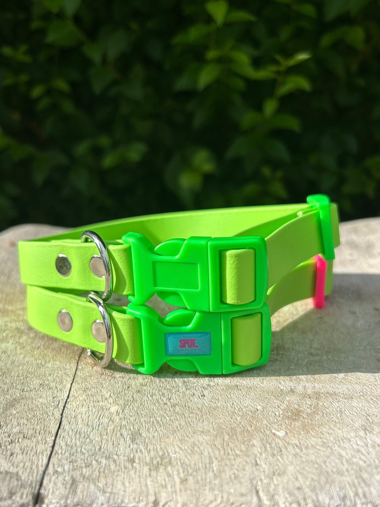 Lime Green BioThane® Collar