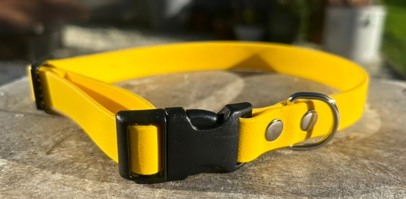 Yellow BioThane® Collar
