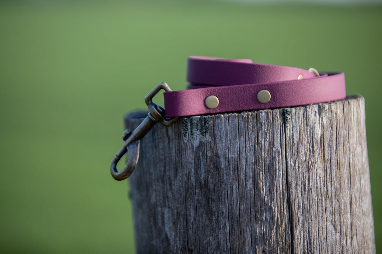 Mulberry BioThane® Clip Lead