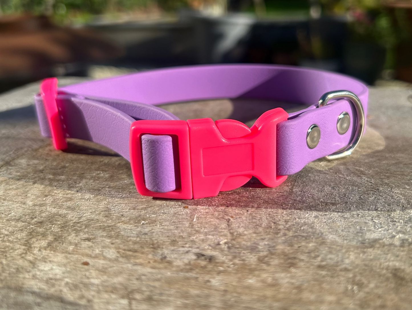 Purple BioThane® Collar