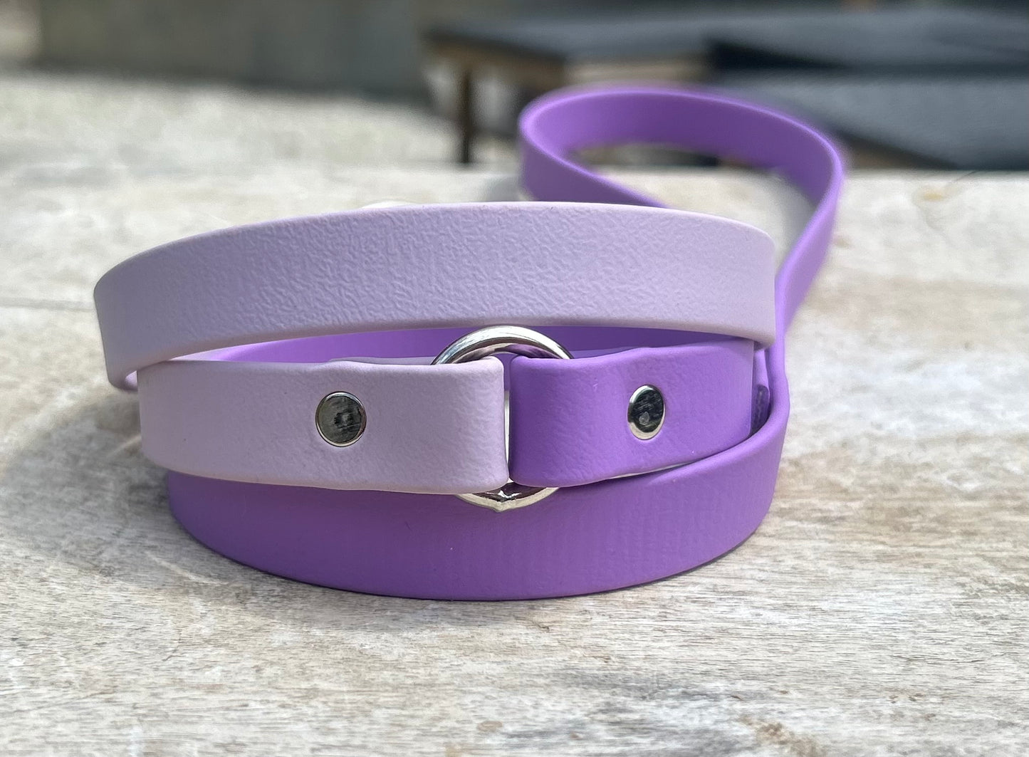 2 Colour BioThane® Clip Lead
