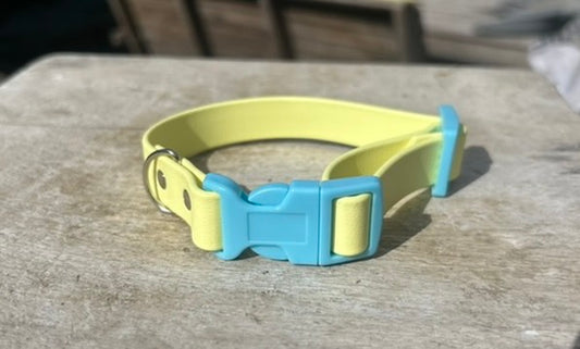Butter Yellow BioThane® Collar