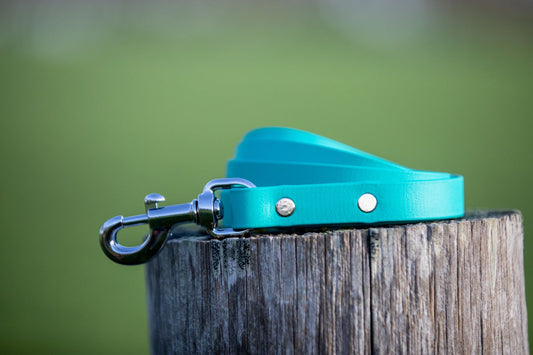Teal BioThane® Clip Lead