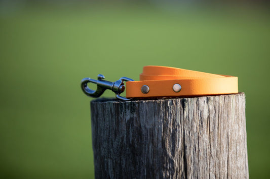 Orange BioThane® Clip Lead