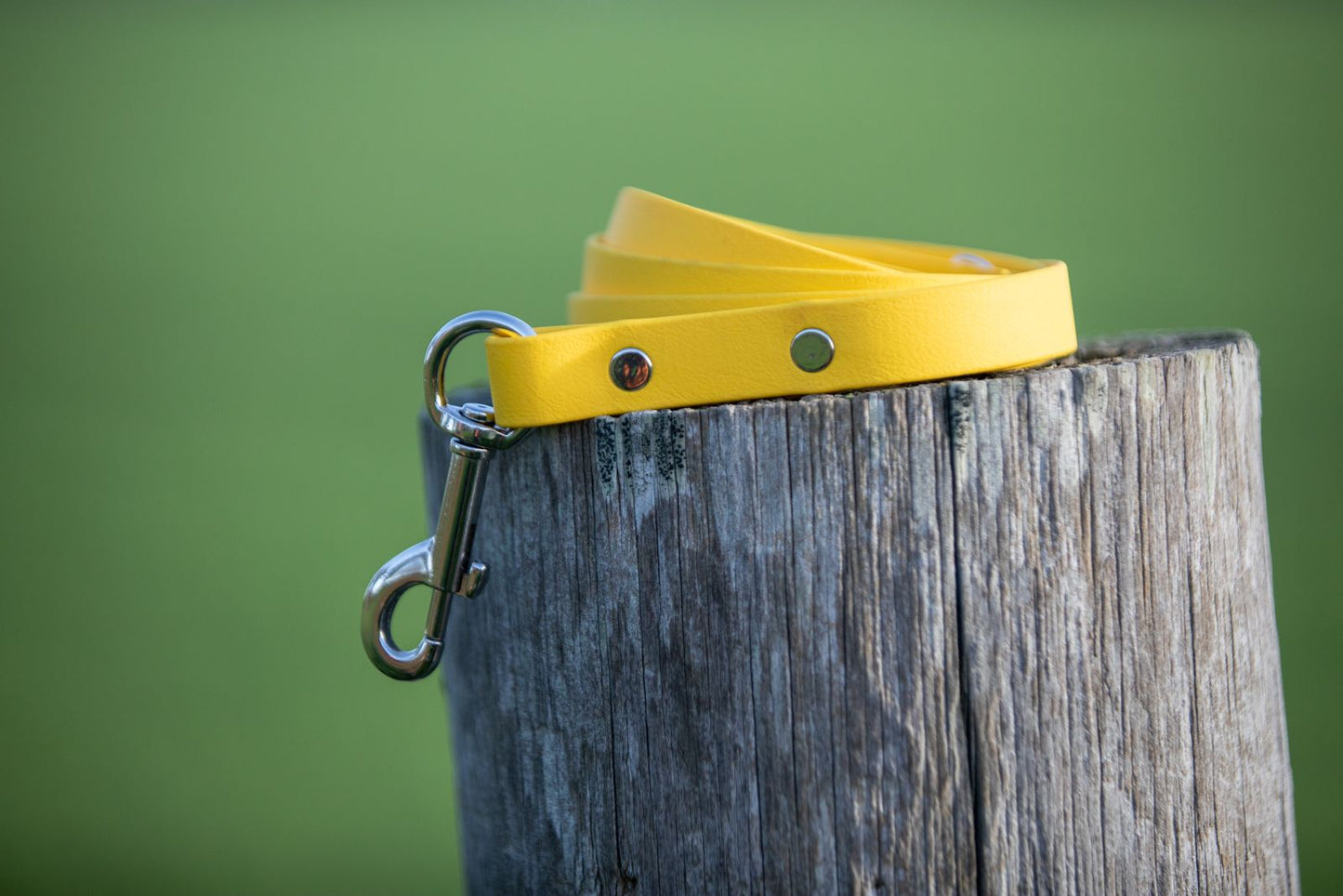 Yellow BioThane® Clip Lead