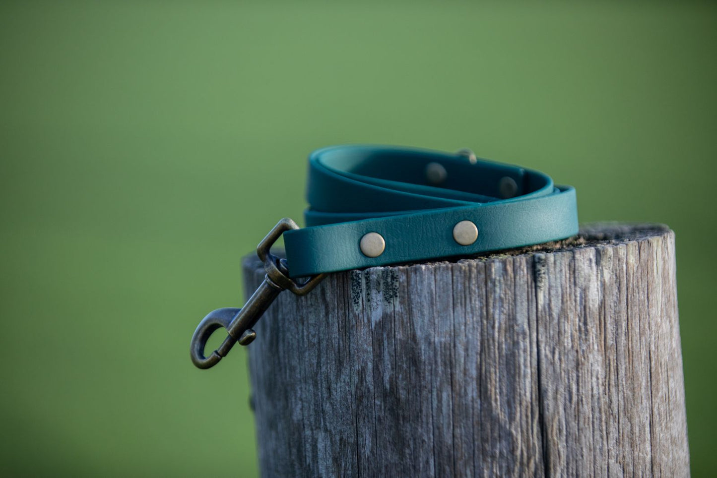 Racing Green BioThane® Clip Lead