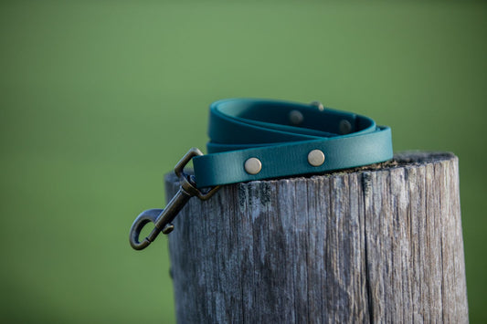 Racing Green BioThane® Clip Lead