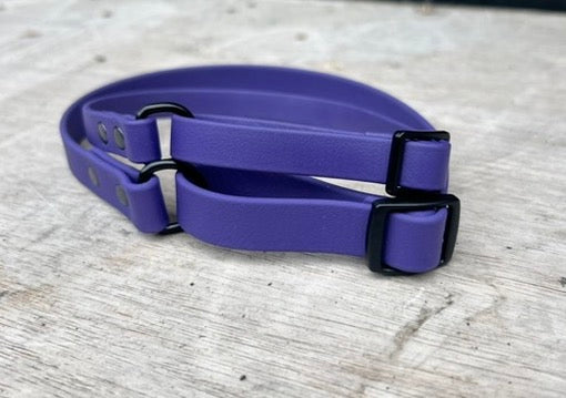 BioThane Flyball Racing Collar with Integrated Handle