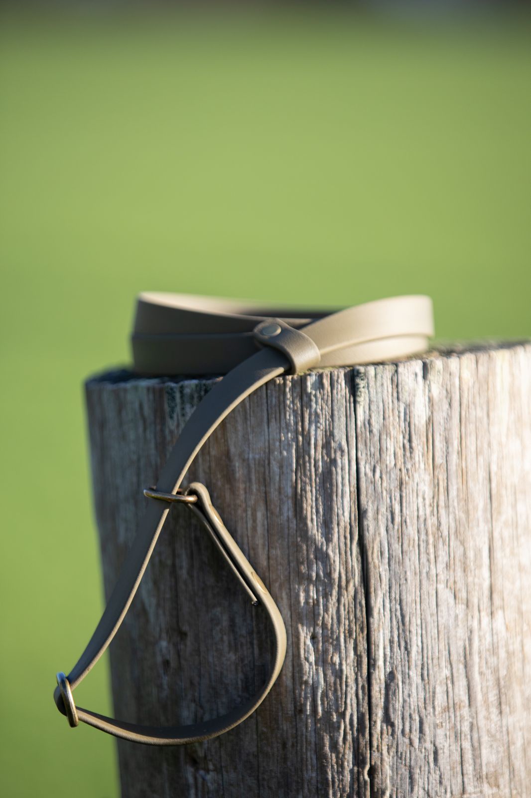 Olive Green BioThane® Slip Lead