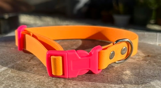 Orange BioThane® Collar