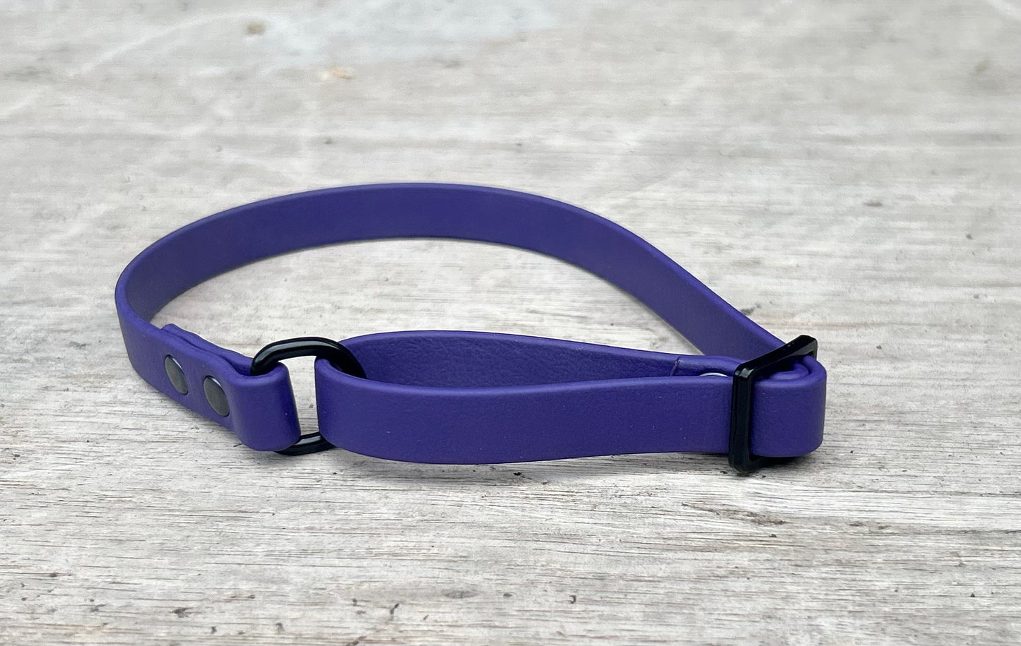 BioThane Flyball Racing Collar with Integrated Handle