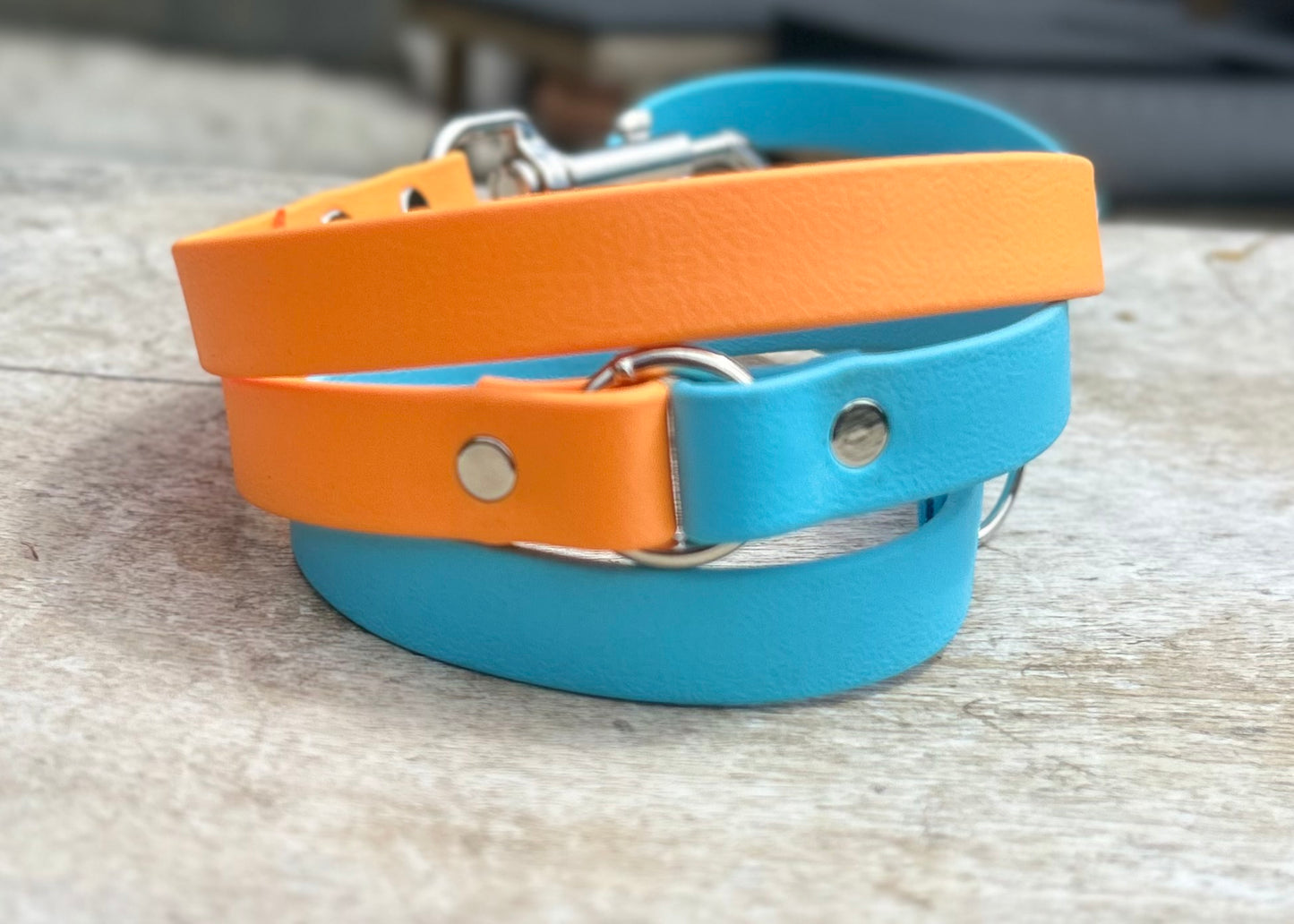 2 Colour BioThane® Clip Lead