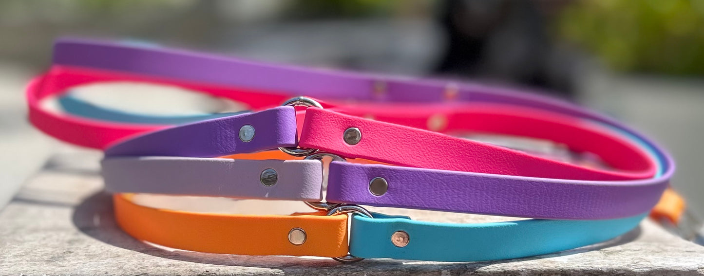 2 Colour BioThane® Clip Lead
