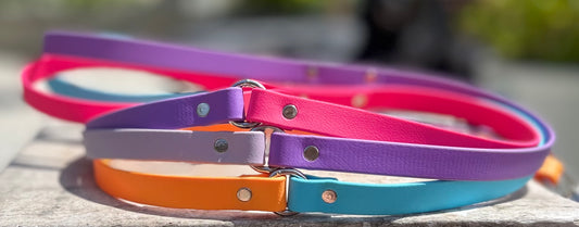 2 Colour BioThane® Clip Lead